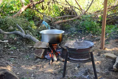 DSC_8328 (Large).JPG